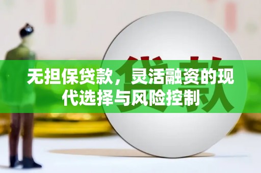 乐东无担保贷款，灵活融资的现代选择与风险控制