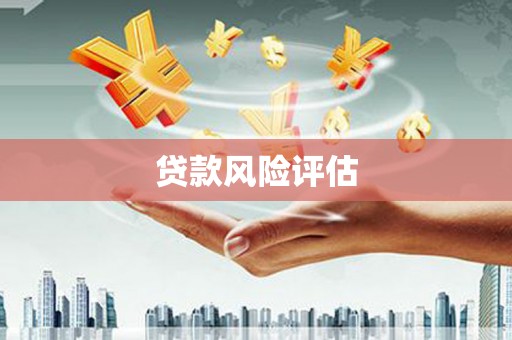 乐东贷款风险评估
