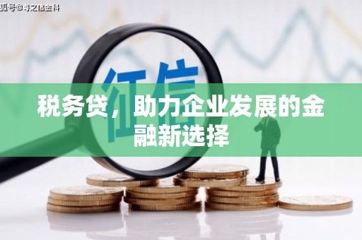 乐东税务贷，助力企业发展的金融新选择