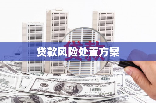 乐东贷款风险处置方案