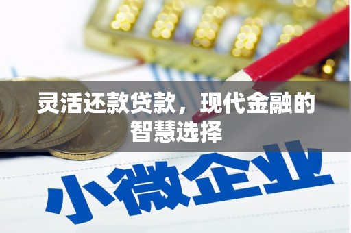 乐东灵活还款贷款，现代金融的智慧选择