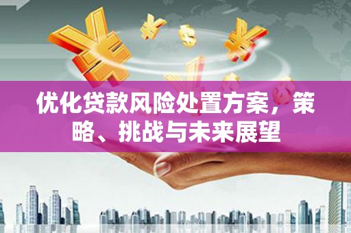乐东优化贷款风险处置方案，策略、挑战与未来展望