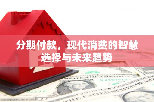 乐东分期付款，现代消费的智慧选择与未来趋势