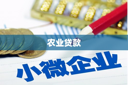 乐东农业贷款