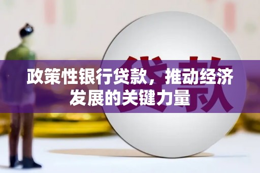乐东政策性银行贷款，推动经济发展的关键力量