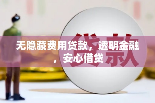 乐东无隐藏费用贷款，透明金融，安心借贷