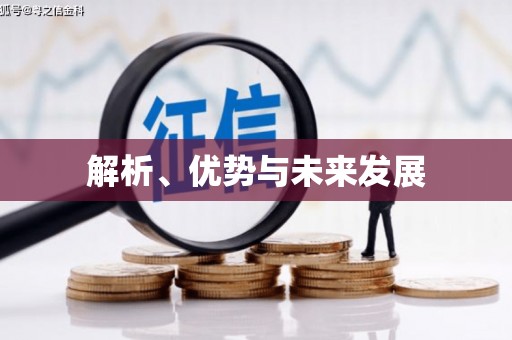乐东解析、优势与未来发展