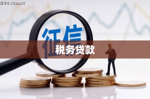 乐东税务贷款