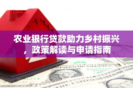 乐东农业银行贷款助力乡村振兴，政策解读与申请指南