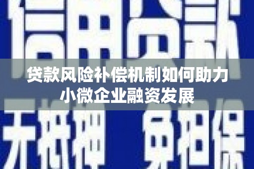 乐东贷款风险补偿机制如何助力小微企业融资发展