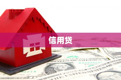 乐东信用贷