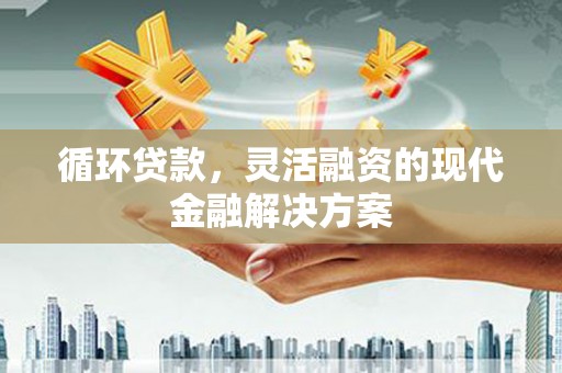 乐东循环贷款，灵活融资的现代金融解决方案