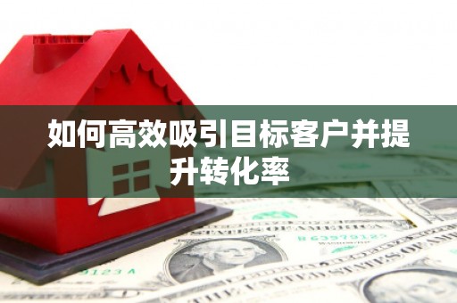 乐东如何高效吸引目标客户并提升转化率
