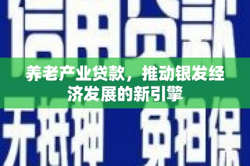 乐东养老产业贷款，推动银发经济发展的新引擎