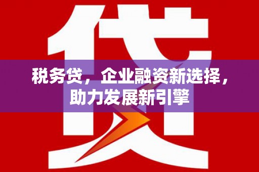 乐东税务贷，企业融资新选择，助力发展新引擎