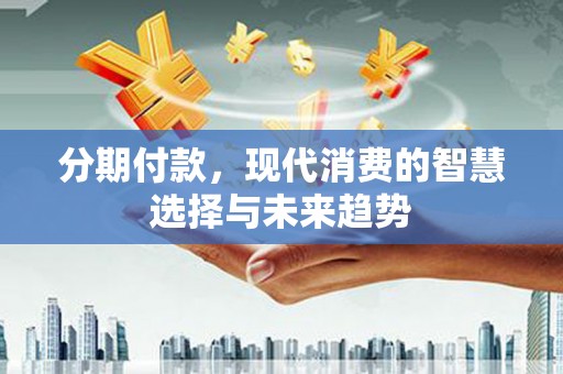 乐东分期付款，现代消费的智慧选择与未来趋势