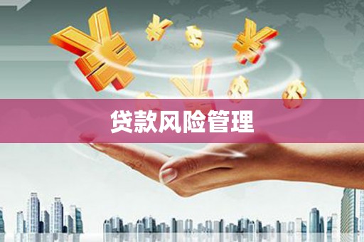 乐东贷款风险管理