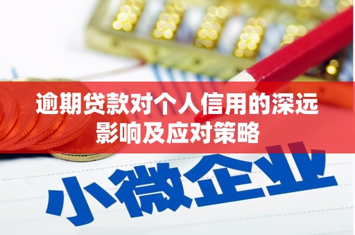 乐东逾期贷款对个人信用的深远影响及应对策略