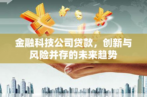 乐东金融科技公司贷款，创新与风险并存的未来趋势
