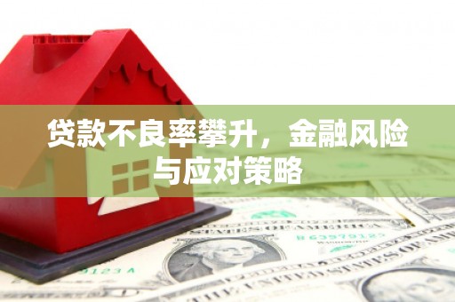 乐东贷款不良率攀升，金融风险与应对策略
