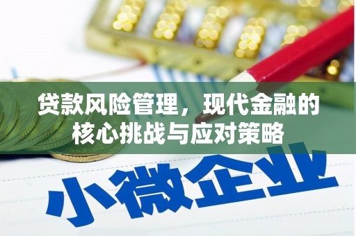 乐东贷款风险管理，现代金融的核心挑战与应对策略