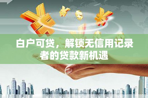 乐东白户可贷，解锁无信用记录者的贷款新机遇