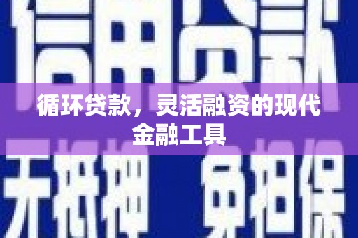 乐东循环贷款，灵活融资的现代金融工具