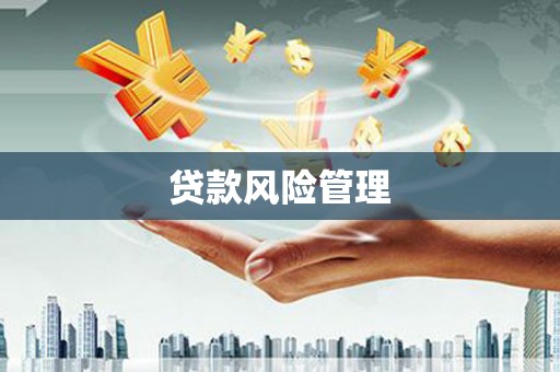 乐东贷款风险管理