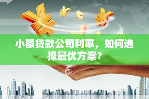 乐东小额贷款公司利率，如何选择最优方案？