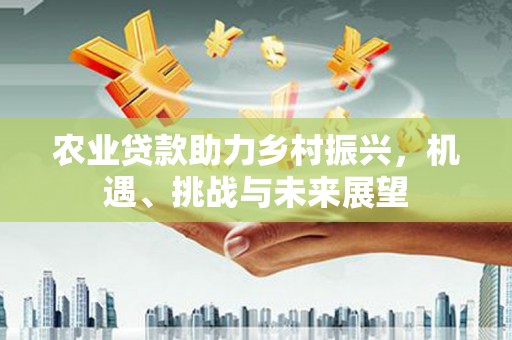 乐东农业贷款助力乡村振兴，机遇、挑战与未来展望