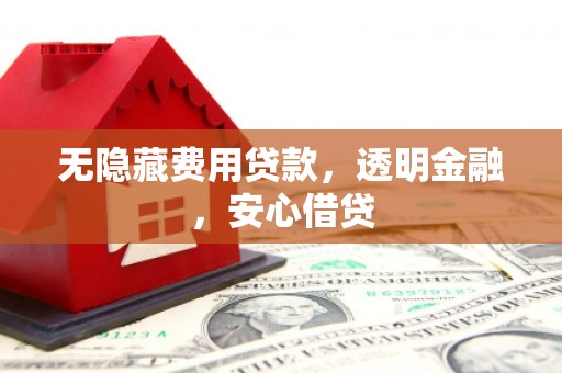 乐东无隐藏费用贷款，透明金融，安心借贷