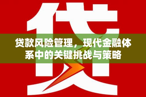 乐东贷款风险管理，现代金融体系中的关键挑战与策略