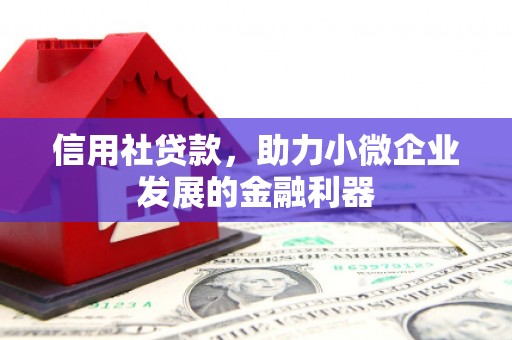 乐东信用社贷款，助力小微企业发展的金融利器