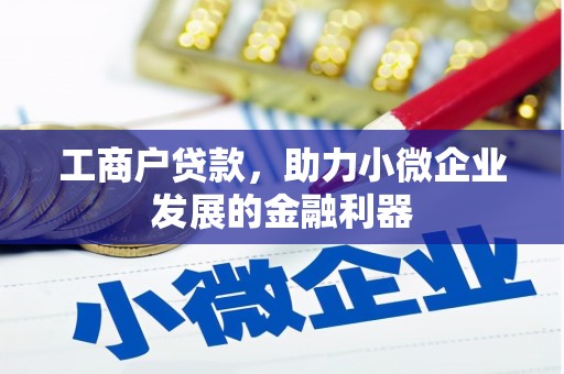 乐东工商户贷款，助力小微企业发展的金融利器