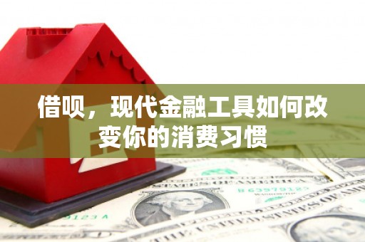 乐东借呗，现代金融工具如何改变你的消费习惯