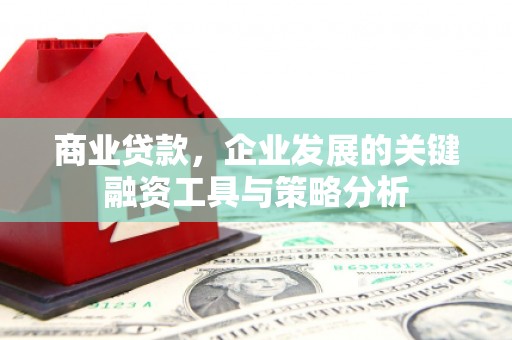 乐东商业贷款，企业发展的关键融资工具与策略分析