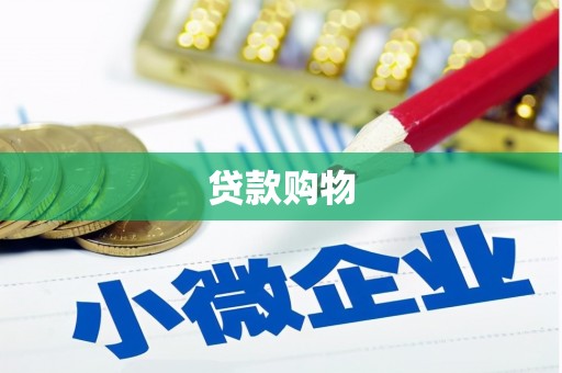 乐东贷款购物