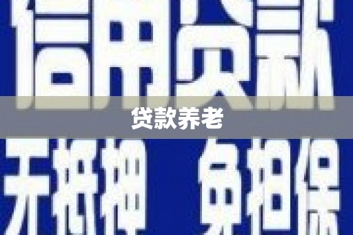 乐东贷款养老