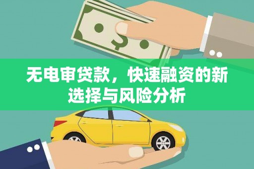 乐东无电审贷款，快速融资的新选择与风险分析