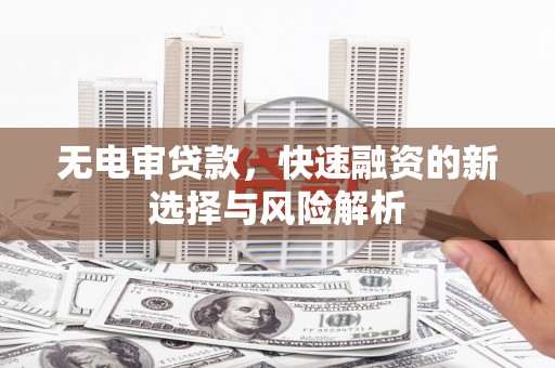 乐东无电审贷款，快速融资的新选择与风险解析