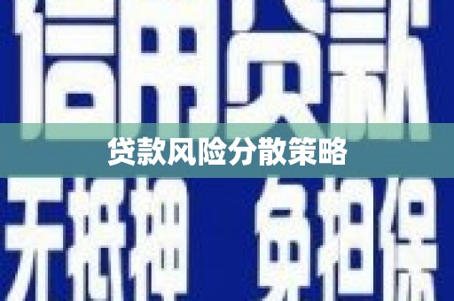 乐东贷款风险分散策略