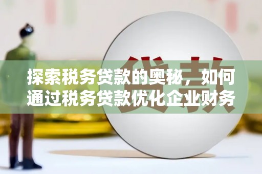 乐东探索税务贷款的奥秘，如何通过税务贷款优化企业财务
