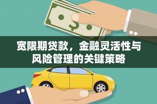 乐东宽限期贷款，金融灵活性与风险管理的关键策略