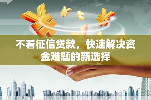 乐东不看征信贷款，快速解决资金难题的新选择