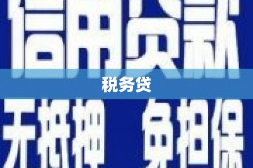 乐东税务贷