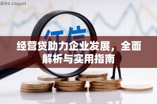 乐东经营贷助力企业发展，全面解析与实用指南