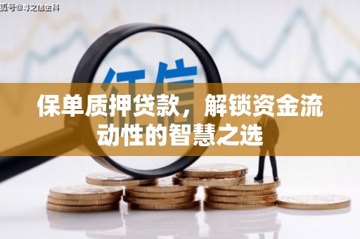 乐东保单质押贷款，解锁资金流动性的智慧之选