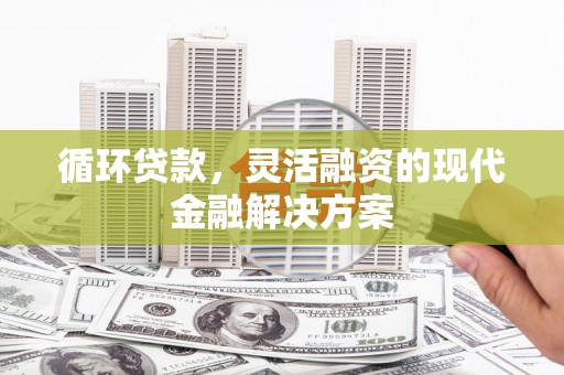 乐东循环贷款，灵活融资的现代金融解决方案