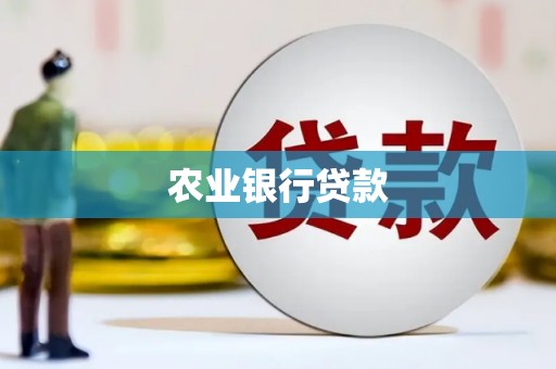 乐东农业银行贷款