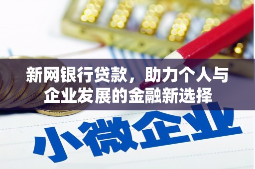 乐东新网银行贷款，助力个人与企业发展的金融新选择